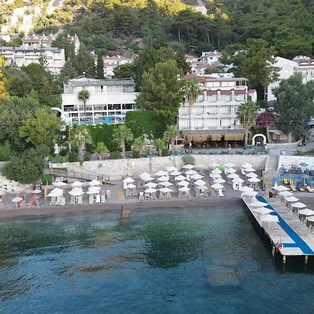 Mavi Deniz 투룬치
